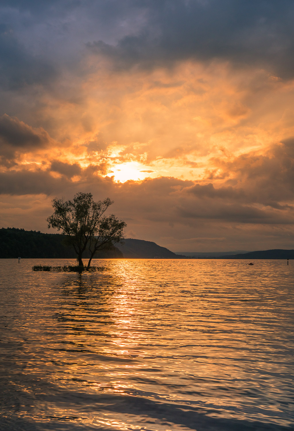 Bodensee 3-er groß