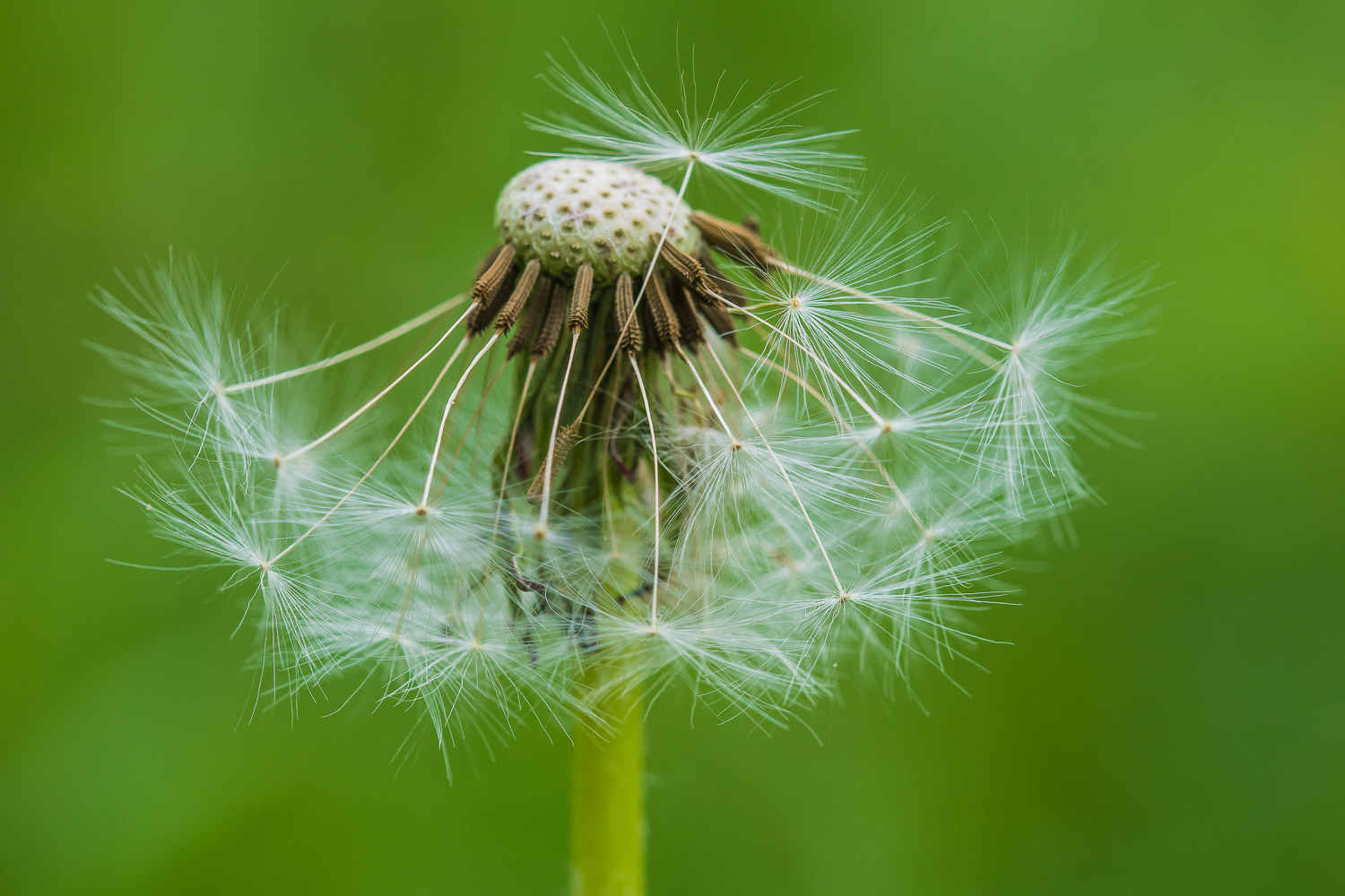 natur unten mittel