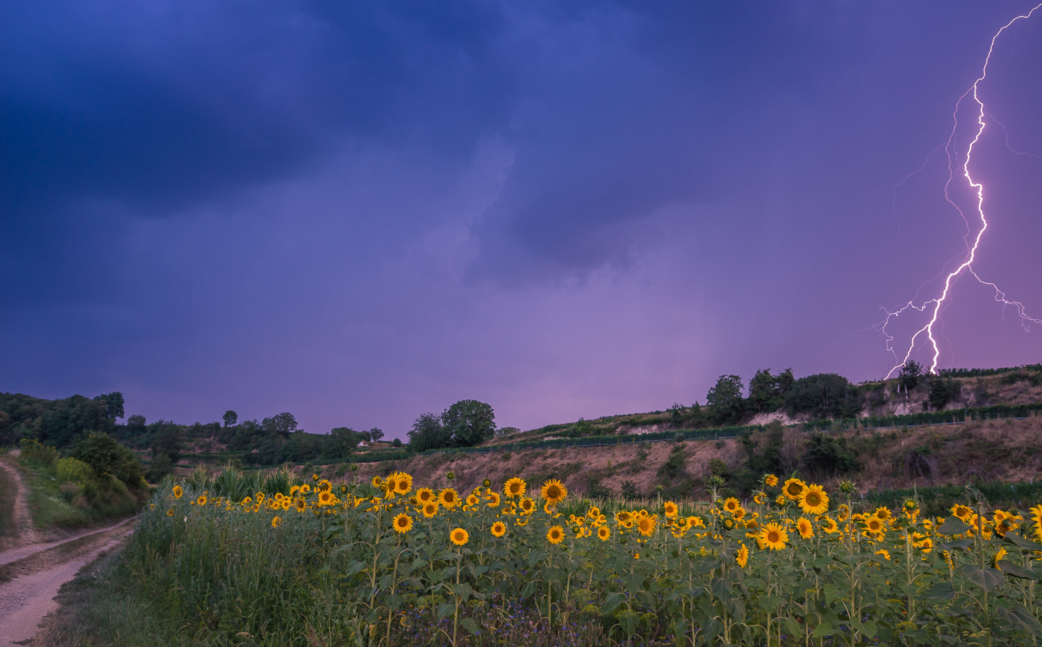 Landschaft klein