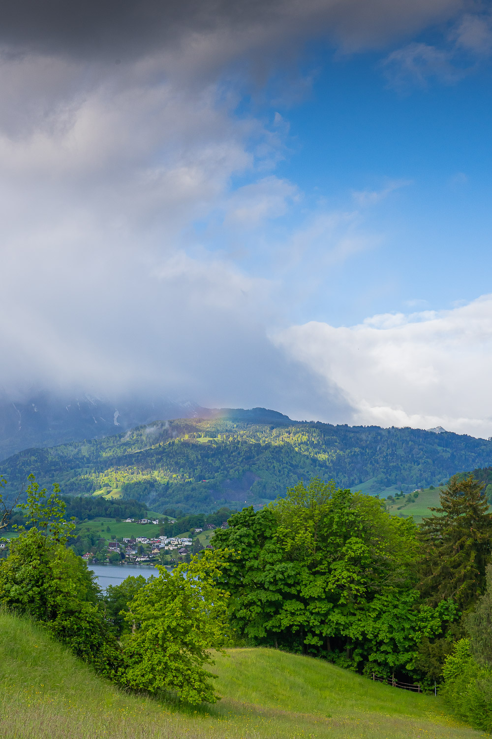 Schweiz 3- er groß